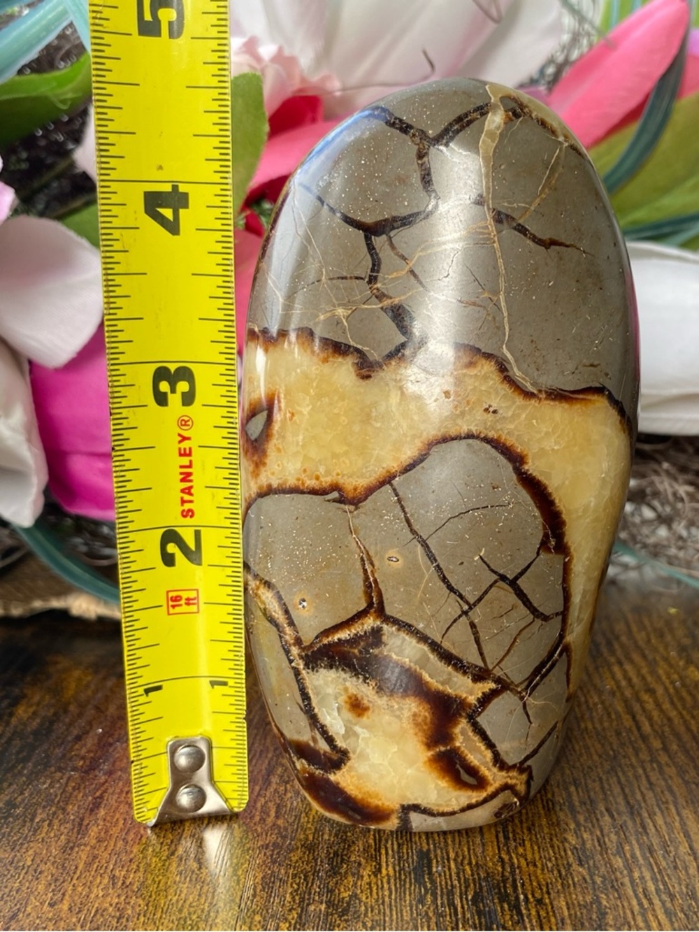 Septarian Freeform - Picture 12 of 12